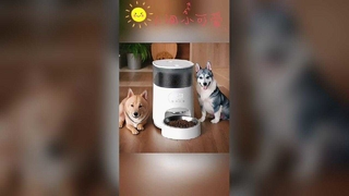 宠物智能喂食设备