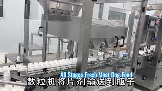 Fresh Meat Formula Complete Dog Food, Puppy & Small Breed Adult All Life Stages, 20kg Economical Lar