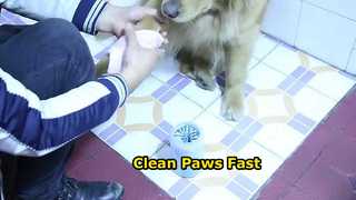 Pet Foot Washing Cup 