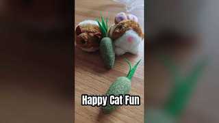 New Custom Catnip Toy Set - Self-Entertainment & Teething Toys for Cats