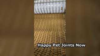Pet Chondroitin Chewable TabletsJOINT HEALTH Pet Joint Support Chewable Tablets