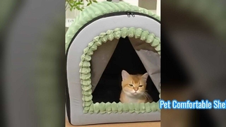 Pet Comfortable Shelter